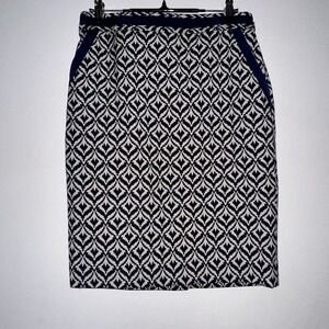 The Limited Pattern Skirt Size 2